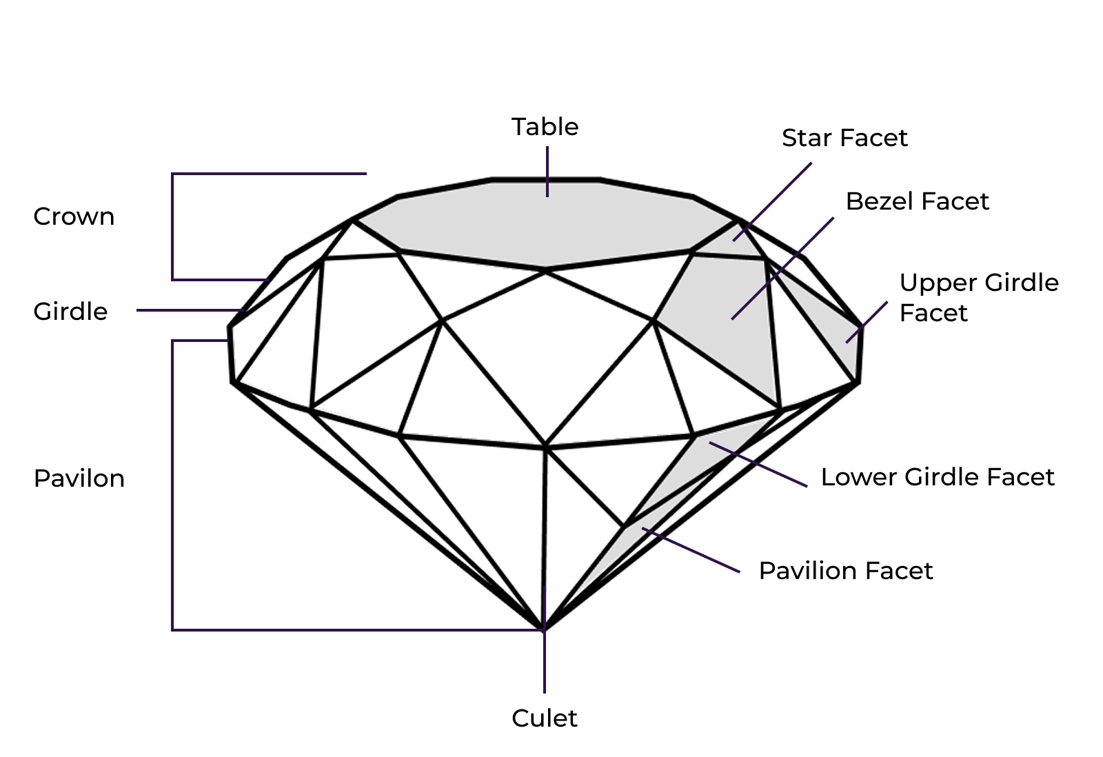 anatomy-figure