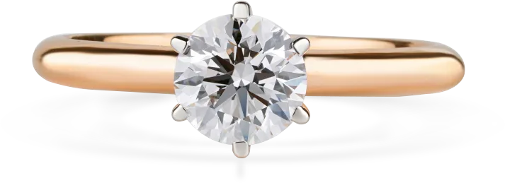See Engagement Rings